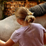 Groom Currying Horse