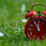 Red Clock in the Grass