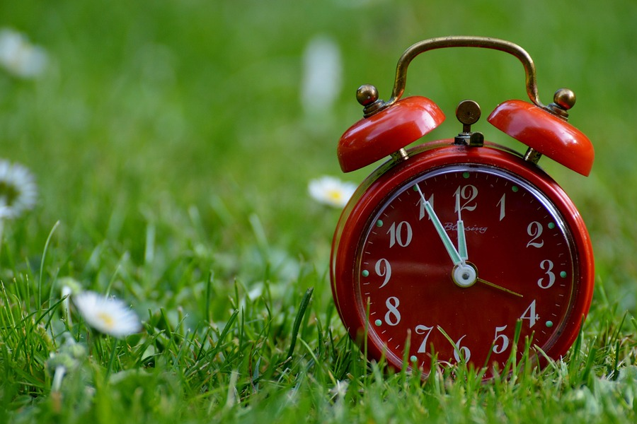 Red Clock in the Grass