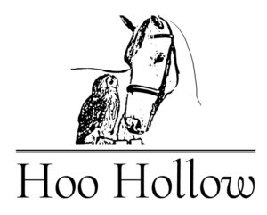 Hoo Hollow Logo Idea