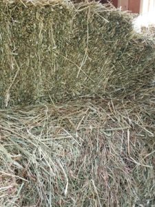 Close-up of baled hay