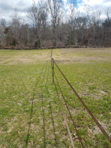 Divided our field into two paddocks