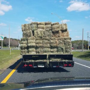 Hay on open bed truck