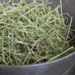 Chopped hay in a bowl