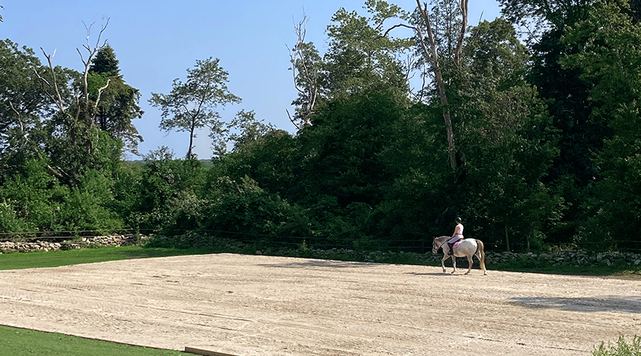 Horse and rider on sand arena surrounded by dark gree trees and blue sky