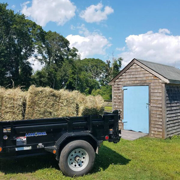 Hay in trailer in front of small shed