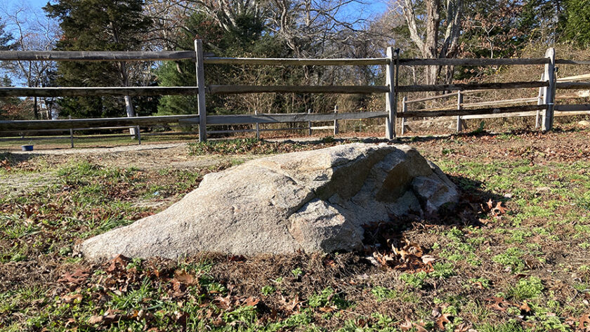 Rock outcropping in paddoc