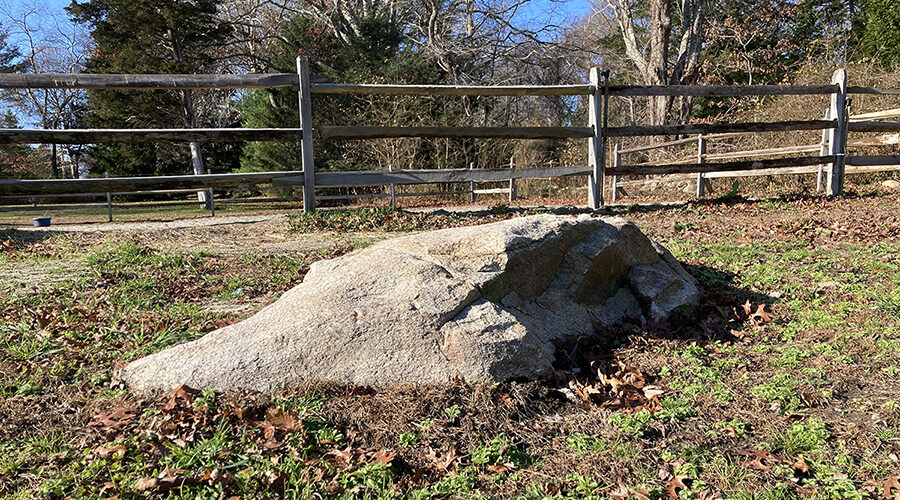 Rock outcropping in paddoc