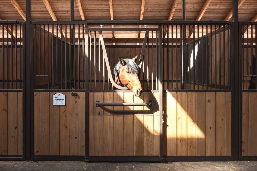 Bay pony peeking over an elegant stall door with yoke.