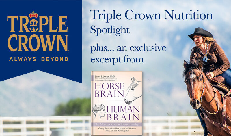 Triple Crown Nutrition Banner