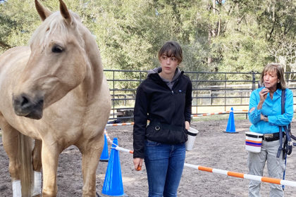 Palomino horse and two women looking on