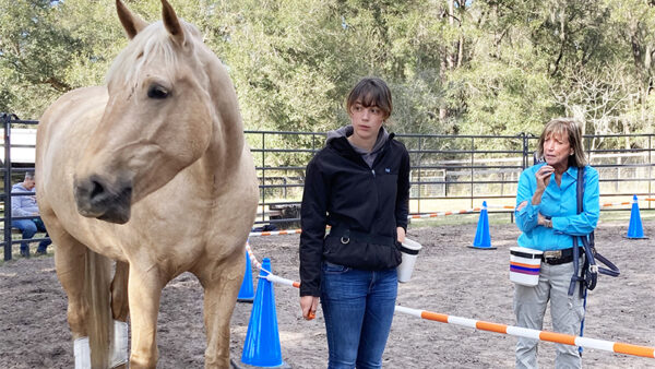 Palomino horse and two women looking on