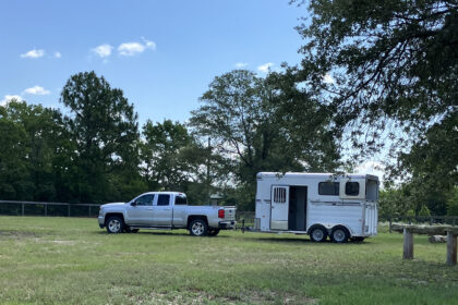 Truck and horse trailer