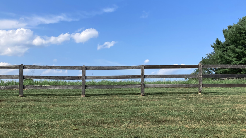 Three board wood fencing with grass and sky