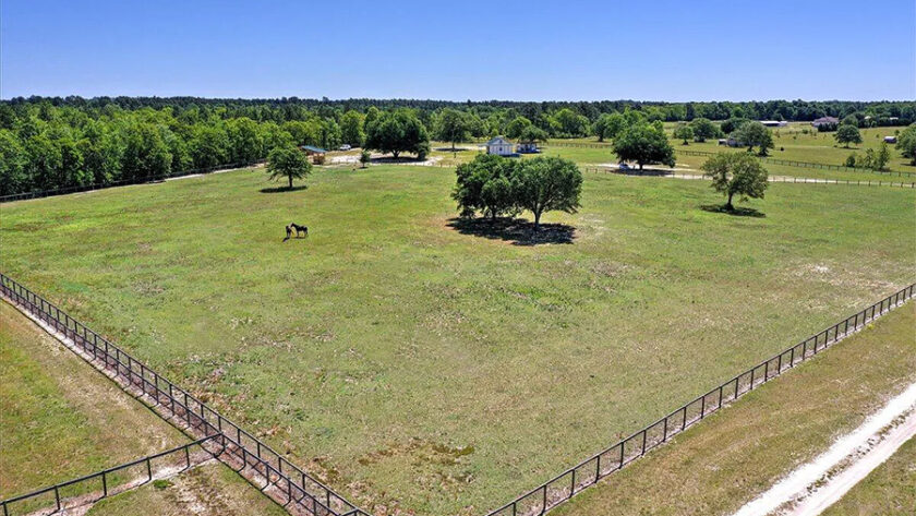 Drone view of horse pasture with live oak tree