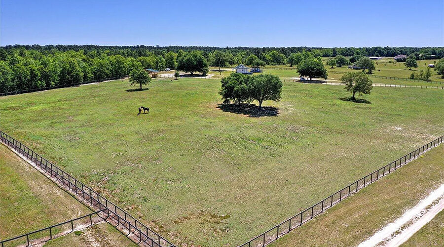 Drone view of horse pasture with live oak tree