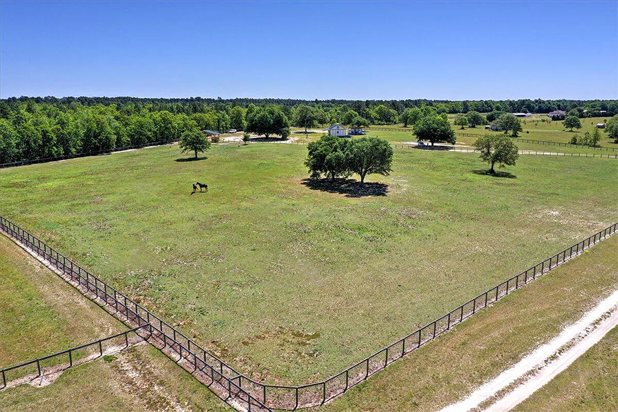 Drone view of horse pasture with live oak tree