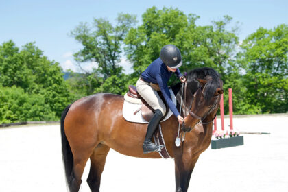 Rider on horse using clicker training.