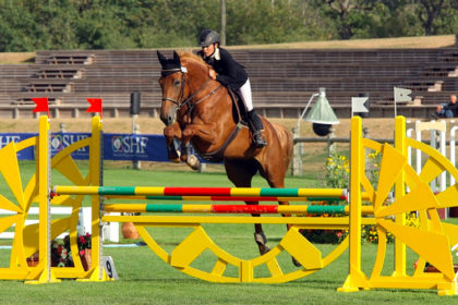 Show jumper over yellow fence