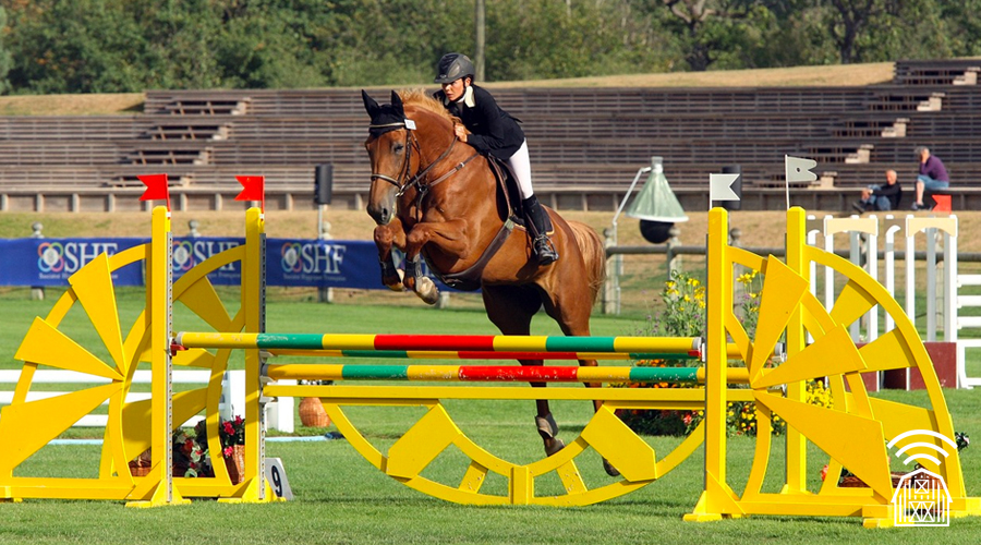 Show jumper over yellow fence