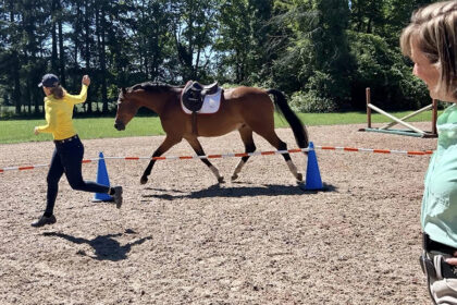 Jessie working in the reverse round pen