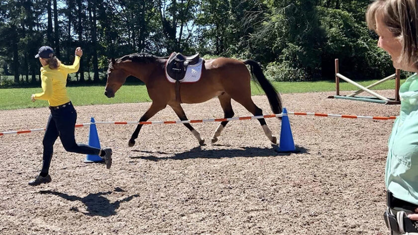 Jessie working in the reverse round pen