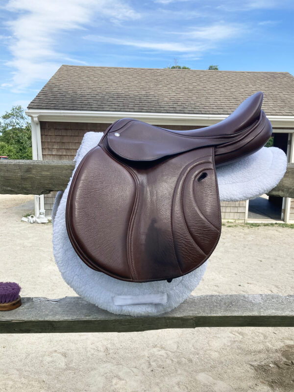Side view of saddle